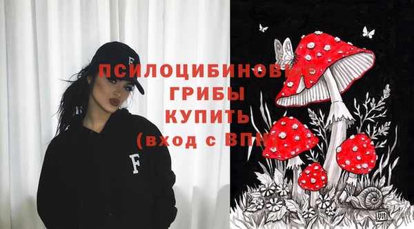 apvp Бронницы